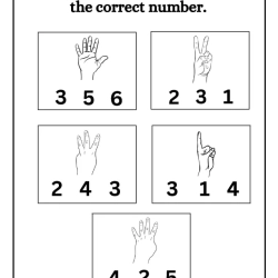 Count And Choose The Correct Number Worksheet For Grade 1