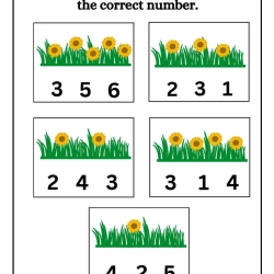 Count And Choose The Correct Number Worksheet For Grade 3