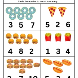 Count And Choose The Correct Number Worksheet For Kids