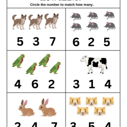 Count And Choose The Correct Number Worksheet Pdf File
