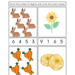 Count And Circle The Number For Kids Worksheet