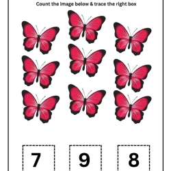 Count And Trace Number Worksheet For 1st Grade