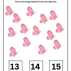 Count And Trace Number Worksheet For 3rd Grade