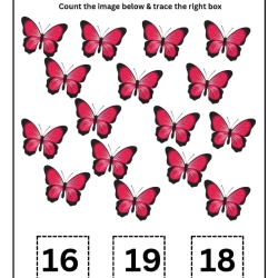 Count And Trace Number Worksheet For 4th Grade