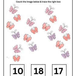 Count And Trace Number Worksheet For 5th Grade