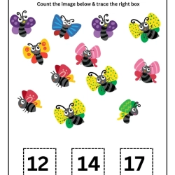 Count And Trace Number Worksheet For Grade 1
