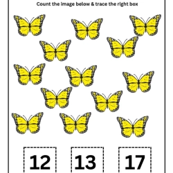 Count And Trace Number Worksheet For Grade 2