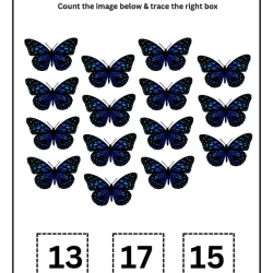 Count And Trace Number Worksheet For Grade 3