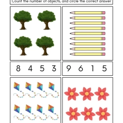 Count And Write Worksheet Downloads