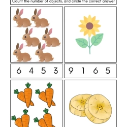 Count And Write Worksheet Free Downloads