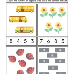 Count And Write Worksheet Printables