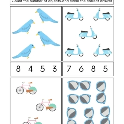 Count And Write Worksheet Worksheets