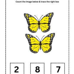 Count The Image Worksheet Printables