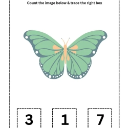 Count The Image Worksheet Worksheets
