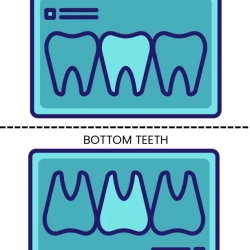 Pretend Play Dentist Worksheet Pdf File