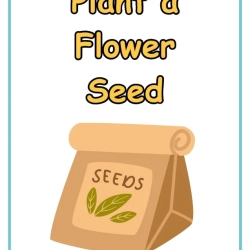Pretend Play The Flower Shop For Free Worksheet