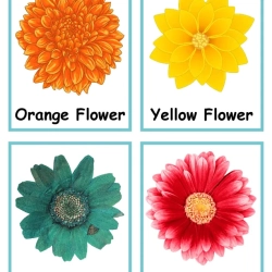 Pretend Play The Flower Shop Pdf Free Worksheet