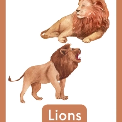 Free Reading Worksheets 1st Grade Worksheets