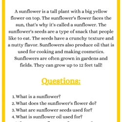 Free Reading Worksheets 6th Grade Free Worksheets