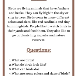 Free Reading Worksheets Downloads