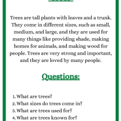 Free Reading Worksheets For 1st Grade