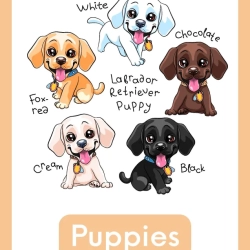 Free Reading Worksheets For Grade 4