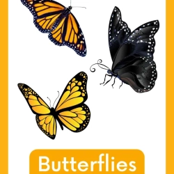 Free Reading Worksheets For Grade 5