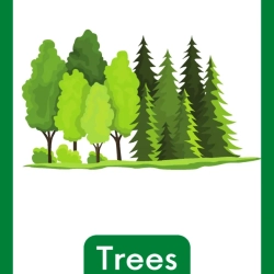 Free Reading Worksheets For Kindergarten