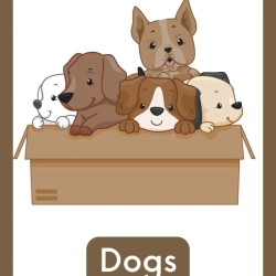 Free Reading Worksheets Fun