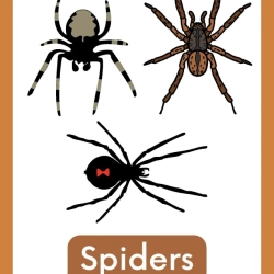 Free Reading Worksheets Grade 1 Printables