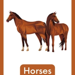 Free Reading Worksheets Grade 3 Free Printables
