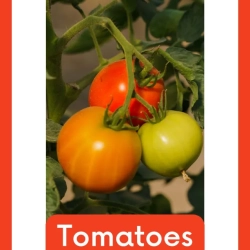 Free Reading Worksheets Grade 5 Free Printables