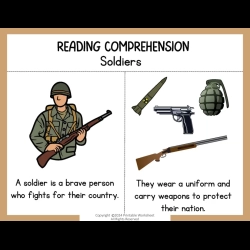 Reading Comprehension Worksheets 101