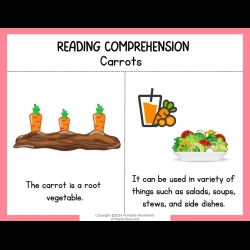 Reading Comprehension Worksheets 106