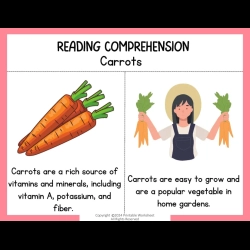 Reading Comprehension Worksheets 107