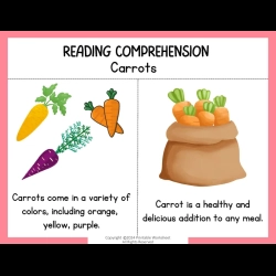 Reading Comprehension Worksheets 108