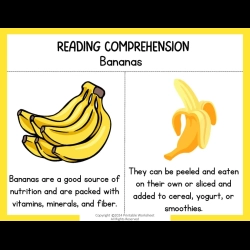 Reading Comprehension Worksheets 111
