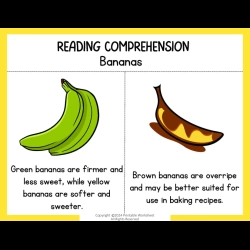 Reading Comprehension Worksheets 113