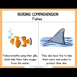 Reading Comprehension Worksheets 1st Grade Free Worksheets