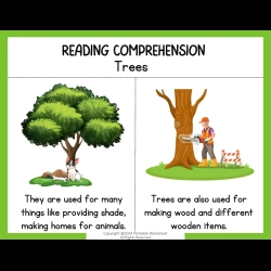Reading Comprehension Worksheets 1st Grade Worksheets