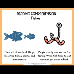 Reading Comprehension Worksheets 2nd Grade Free Worksheets