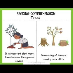 Reading Comprehension Worksheets 2nd Grade Worksheets