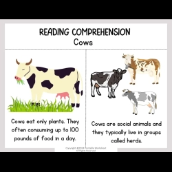Reading Comprehension Worksheets 6th Grade Free Worksheets