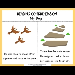 Reading Comprehension Worksheets For Toddlers
