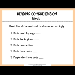 Reading Comprehension Worksheets Grade 1 Worksheets