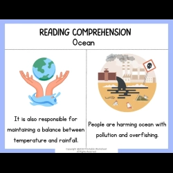 Reading Comprehension Worksheets Grade 3 Printables