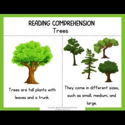 Reading Comprehension Worksheets Grade 6 Printables