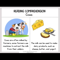 Reading Comprehension Worksheets Kids Free Worksheets