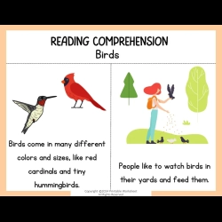 Reading Comprehension Worksheets Kids Worksheets