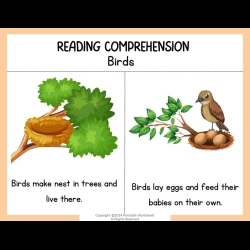 Reading Comprehension Worksheets Kindergarten Worksheets